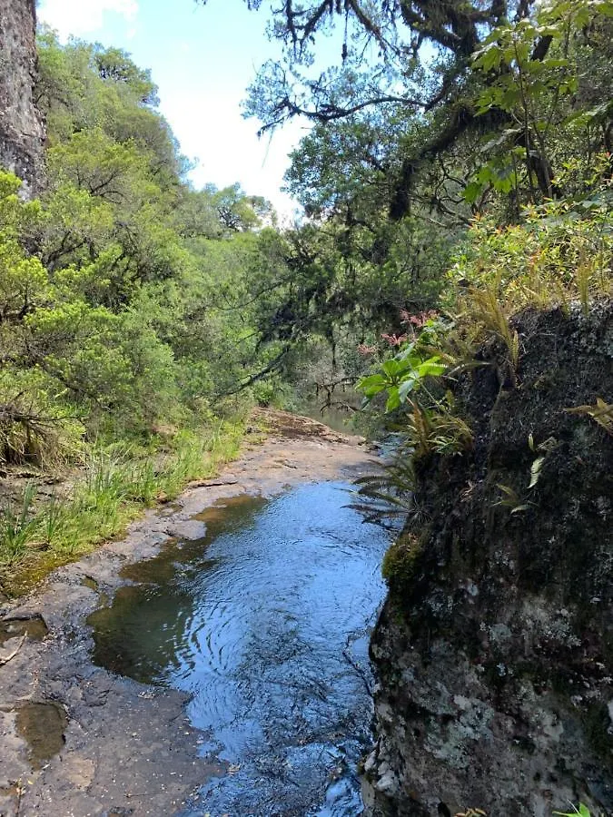 Sitio Rota Das Araucarias Urupema