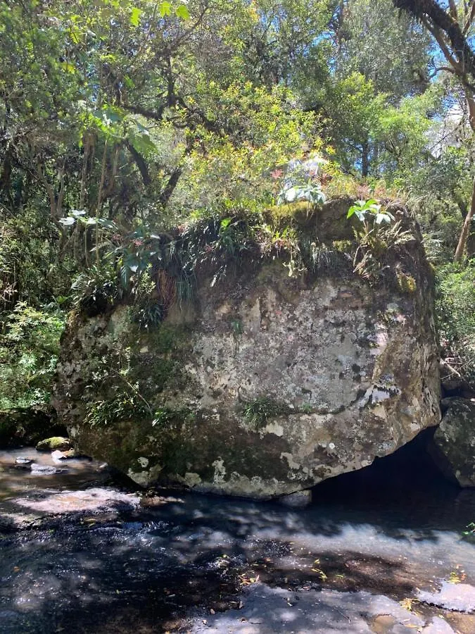 Sitio Rota Das Araucarias Urupema Holiday home
